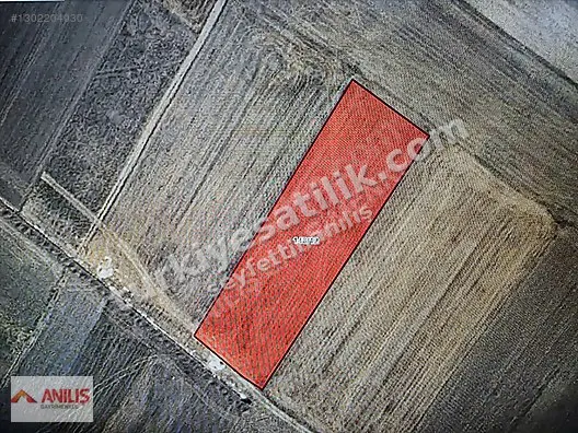Kütahya Altıntaş'ta Yatırımlık Resmi Yollu Tarla